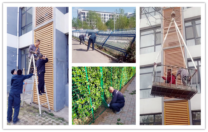 風后校園煥新顏——后勤處搶抓窗口期推進環境修復與公共設施安裝工作